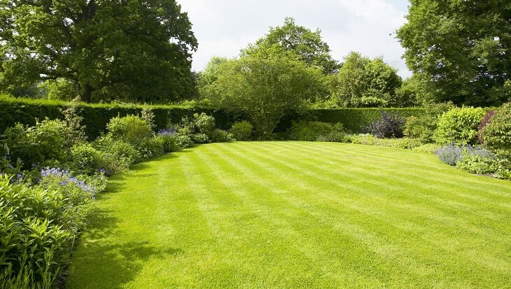 Tips to Protect Your Lawn