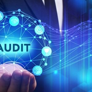 Audit Tests to Assess Risk