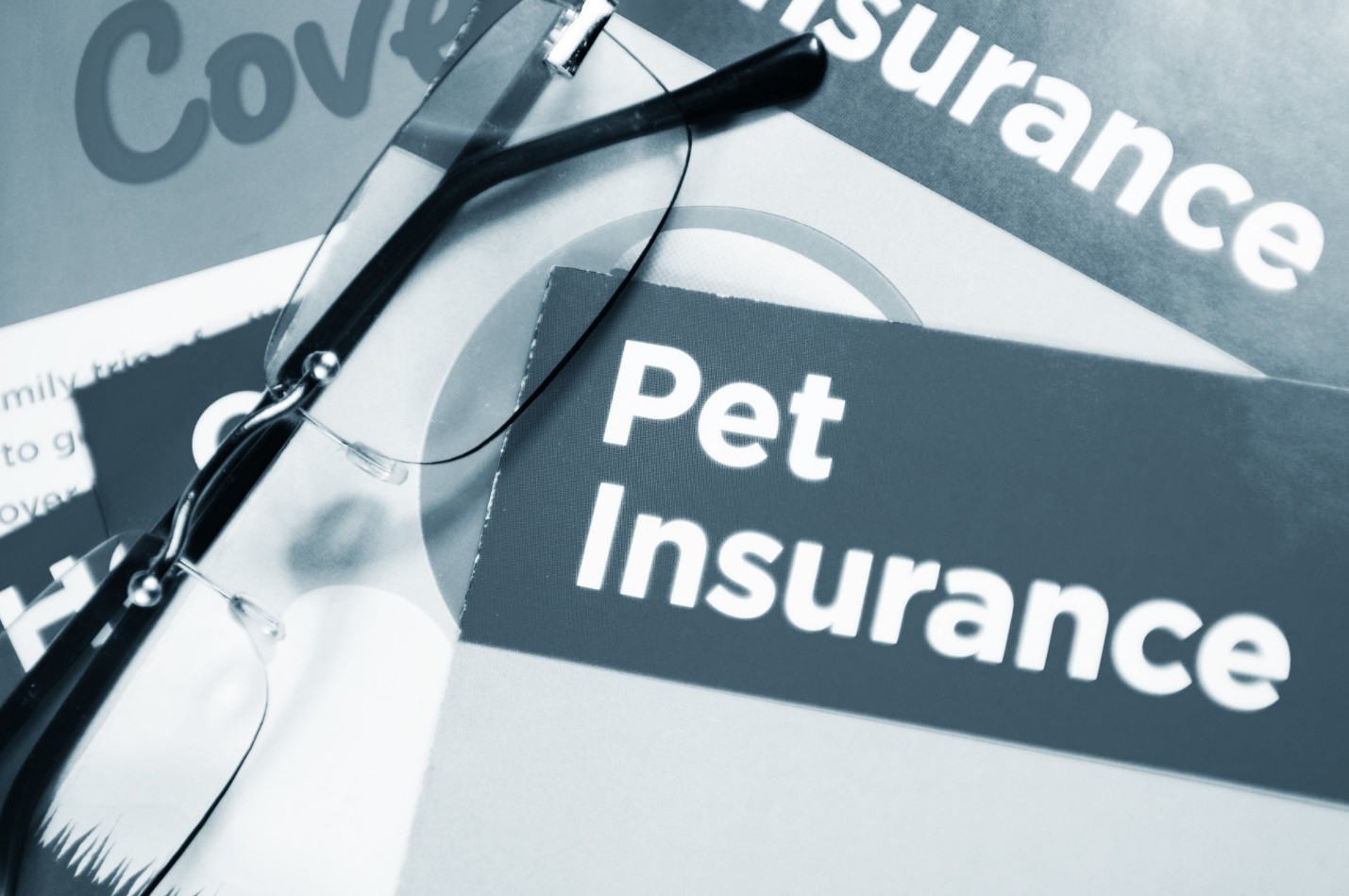 A Guide to the Benefits of Pet Insurance