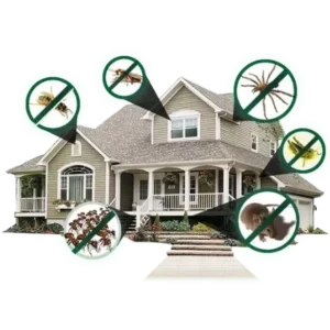 Pest Control Solutions